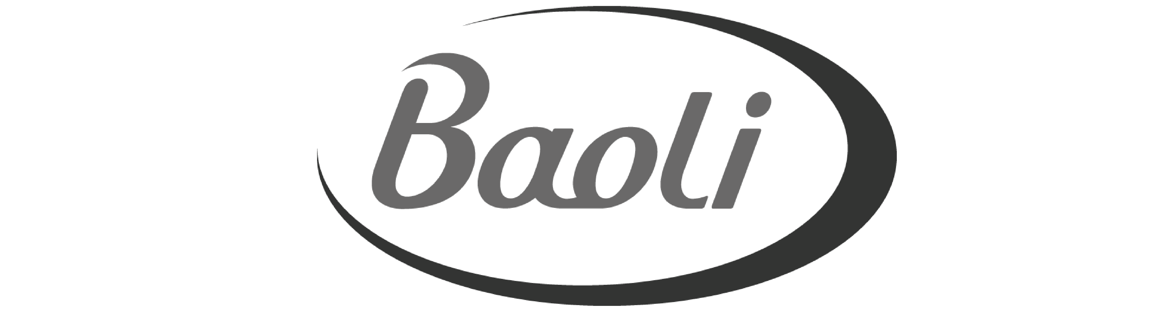 Logo 2 BAOLI